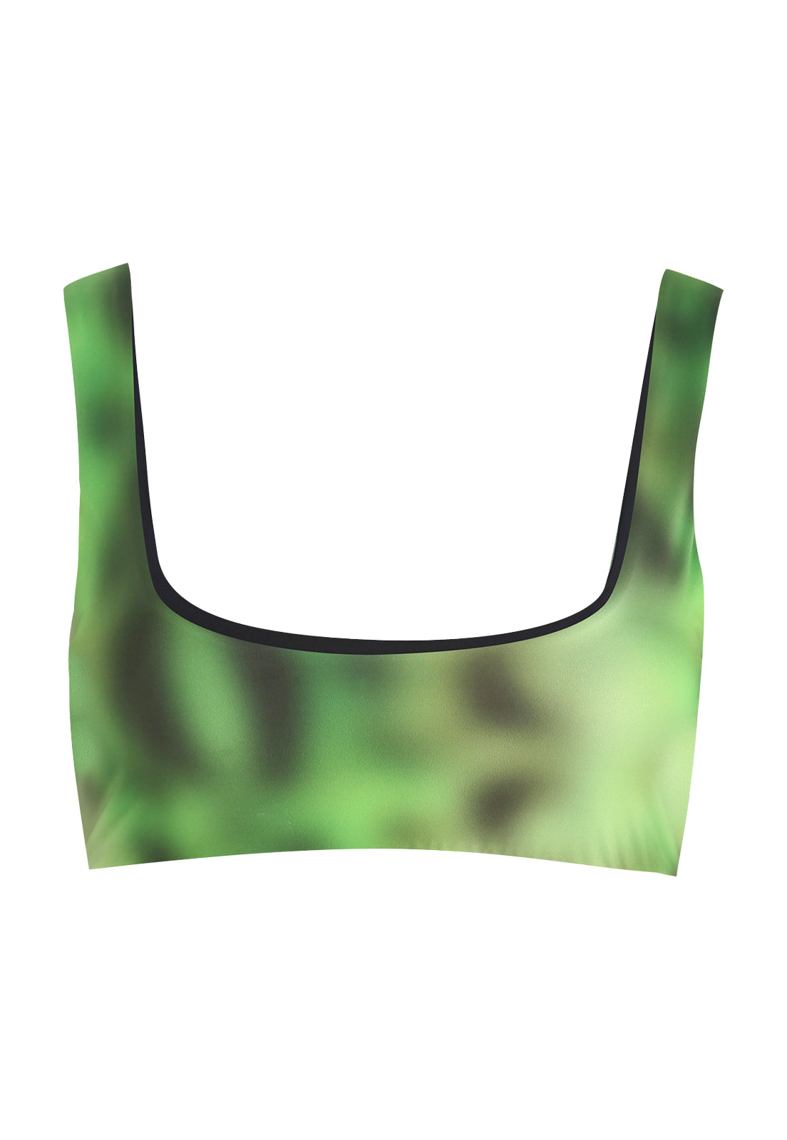 TOP LAGUNA BLURRED FROG