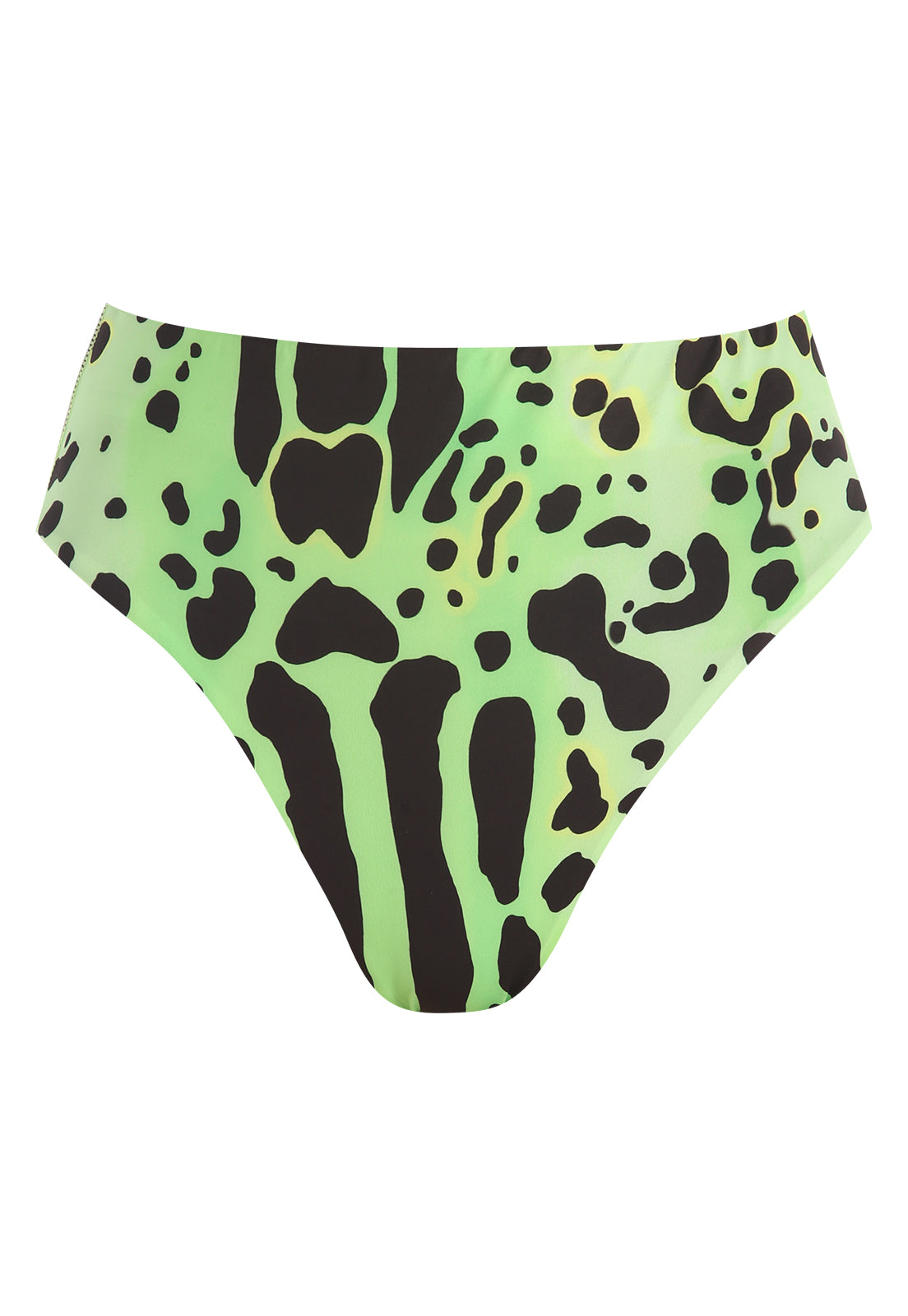 BOTTOM LAGUNA RANA VERDE