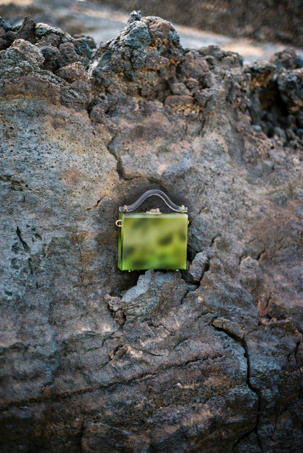 Blurred Frog Bag